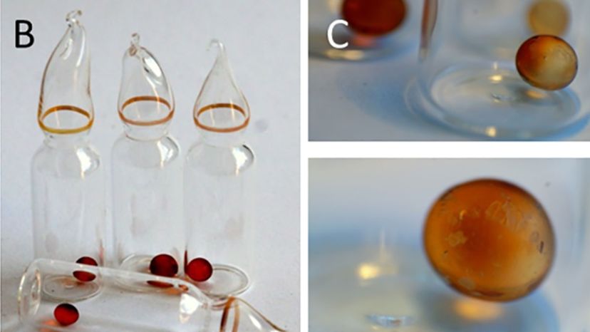  Glass vials containing 100 μL of B. subtilis spore stock solution (106 CFU/mL) and then dried down on silicon bead desiccators before being sealed as described in Methods. (C) Silica beads to maintain desiccation. 