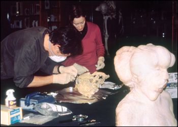Dr. Thomas Higham (Senior Archaeologist, Oxford Radiocarbon Accelerator Unit) and Prof. Erika Hagelberg (a geneticist and a leading expert in ancient DNA) preparing to drill Joseph Merrick's skull.