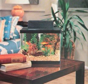Smaller tanks such as this one can sit safelyon a table or another piece of furniture.