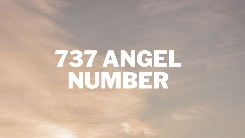 737 angel number