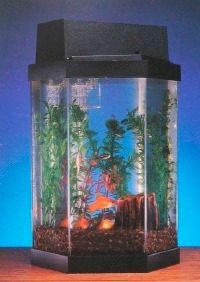 Lifegard 10 Gallon (Non-AIO Aquarium) Lid