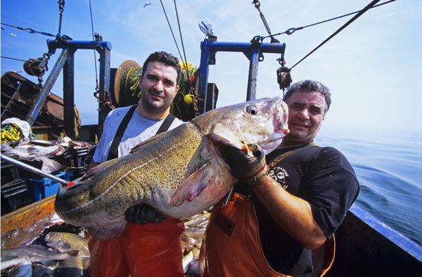 Men fishing outdoors, catching fish.