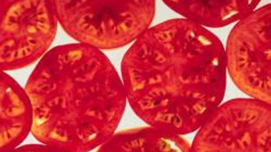 9 Odd Sporting Events from Around the World